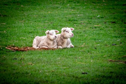 Anja de Graaf - Clubuitje Texel - 2